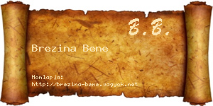 Brezina Bene névjegykártya